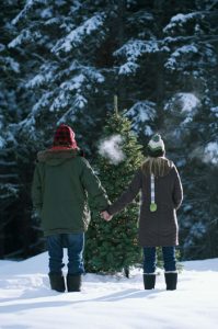 winter_blog