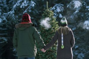 winter_blog
