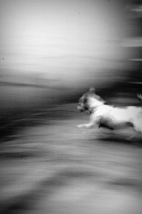 manic_running