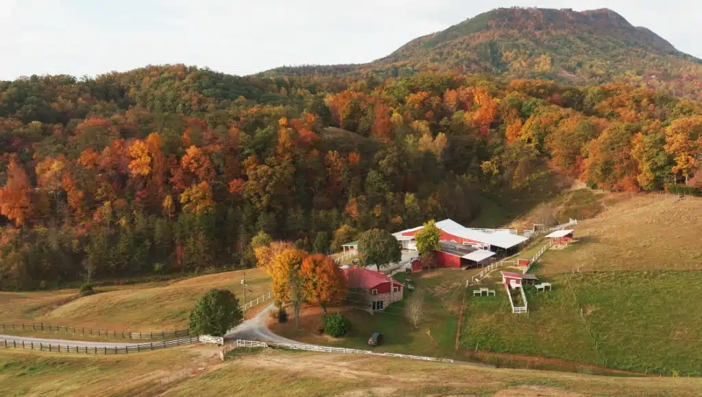 Aerial view of the Stables Autism Program grounds and farm during fall