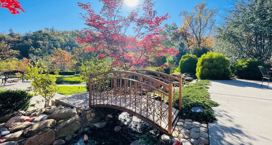 Smoky Mountain Lodge Courtyard