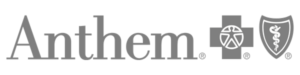 Anthem insurance logo in grey