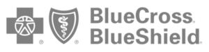 BlueCross BlueShield Logo - Grey