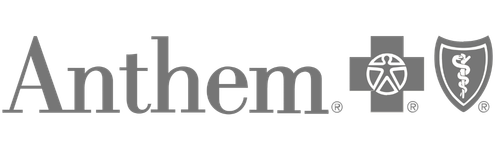 Anthem Logo - 600 X 150 - Grey